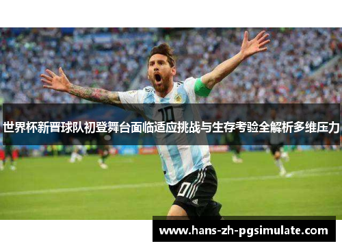 世界杯新晋球队初登舞台面临适应挑战与生存考验全解析多维压力