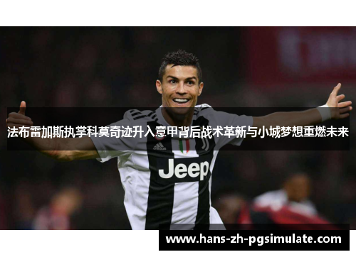 法布雷加斯执掌科莫奇迹升入意甲背后战术革新与小城梦想重燃未来